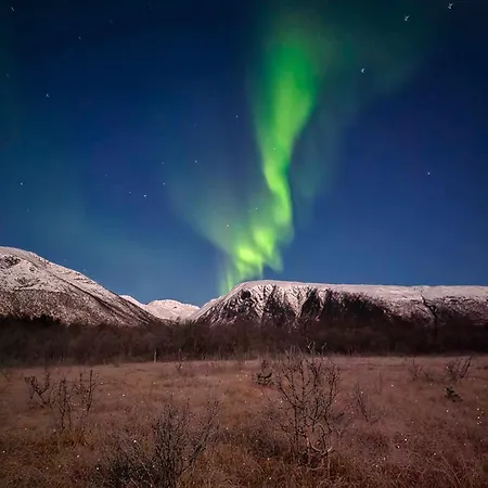 Annebo Tromsø